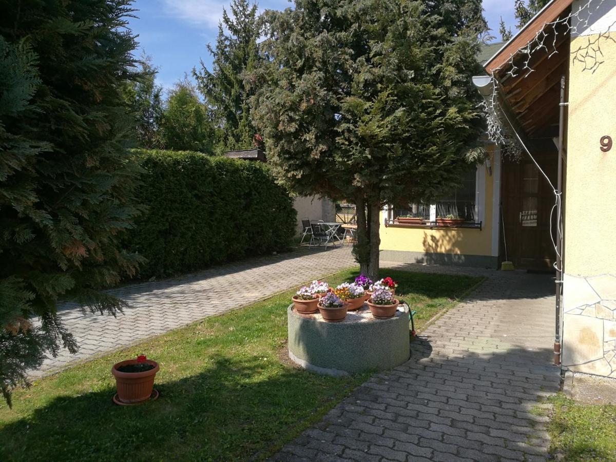 Gergely Vendeghaz Apartment Zirc Exterior foto
